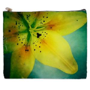 Blushing Sun XL HS Image