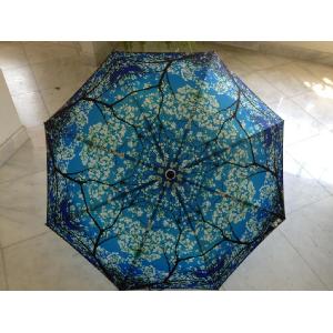 Dogwood Large Funbrella Image