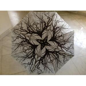 Awaken Large Funbrella Image